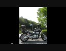 ナビを信じきった漢の末路（後編）
