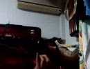 『My soul your Beats!』をバイオリンで弾いてみた