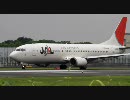 【HD】伊丹空港離着陸シーンその1(2010/6/13)【スカイランド原田】