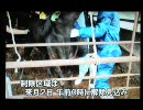 口蹄疫ニュース6月22日
