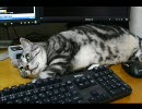 bumpのembrace歌って弾いてみた。（弾きなおし）