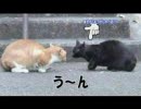 しゃべる猫ず