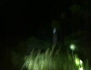 【心霊スポット】神奈川県横浜市 緑山峠 part1