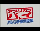 【映画】アメリカン・パイ in ハレンチ課外授業 (2007) 日本版予告編