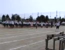 ハレ晴レユカイin運動会