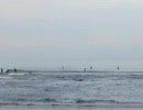 北台湾サーフィン/北台灣衝浪/North taiwan surfing 100625