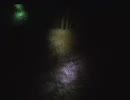 【実況肝試し】 静岡県  小笠神社