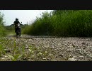 セローで河川敷をトレイルライドしてきた