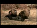 Lionman