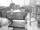 Acoustic Ladyland - Deckchair