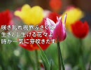 【小林えり】咲けない花Ⅲ【自作詩朗読】