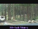 登山口へ行くだけの車載動画１　祖母山北谷登山口
