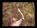 Oh Daylight - The Bank Holidays