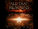 All That Remains / Two Weeks