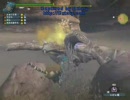 MHF・剛種適性試験・ディア音爆作戦～笛視点