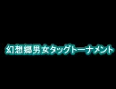 【mugen】幻想郷男女タッグトーナメント2回戦