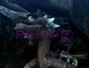 【MHP2G実況】狩猟日和（狩）　第三十一回「なずっちゃん」前編