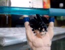 中学生がイタズラ電話をしてみた　2