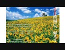 【記録】B１ボーダー戦場に迷う 100630_02【久我Ⅱ脚】