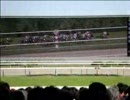 【競馬NIGHTオマケ】2010年天皇賞（春）観戦記