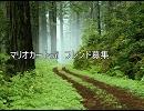 マリオカートwii  フレンド募集（初見さん大歓迎）