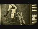 Pantaloons by TAPE FIVE