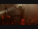 9mm Parabellum Bullet  Wanderland & Vampiregirl Live