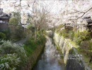 【そうだ京都へ行こう16~30】総集編