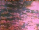 Future Flight - Foolish Things