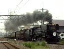 D51-498　SLググっとぐんま　井野通過