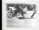 20世紀末の洋楽 43.Nice Little Penguins  - Flying