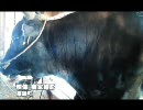 口蹄疫ニュース7月6日