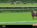 JRA JAPAN WORLD CUP ハリボテエレジー優勝