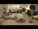 ＶＦＸ　白いこぶた虐待物語