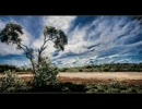 Richard Crandel - Island