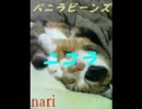 ニコラ バニラビーンズを歌ってみた nari