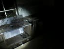 心霊スポットの旅　静岡　in廃旅館Ｈ(前編)