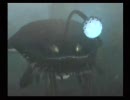 うさひよ姉妹 初めて実況プレイ モンスターハンター３【その38】