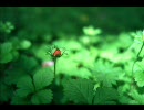 【作業用BGM】怪しげな雰囲気のインスト詰め合わせ