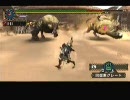 【MHP2G】気ままに狩ってみる　大剣×双獅激天　ソロ　前半