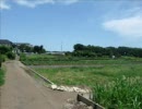 new自転車で近所をさまよってみた。
