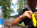 【フィンランド】お昼ごはん中のおっさん - おっさんからの手紙