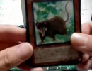 ひっそりと遊戯王DREV開封動画　前編