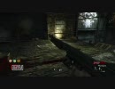 CoD waw nazi zombies  vol1-5