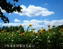 【初音ミク：オリジナル】つゆはまだあけてない