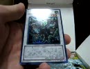 やる相手が出来たので遊戯王新パック箱買いしてみたその7くらい【STBL】