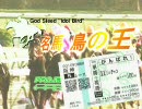 【iM@S架空戦記】名馬・鳥の王　第１９Ｒ