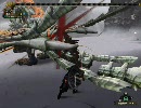 【MHF】ドラギュロス後編【ペア捕獲】
