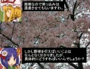 東方プロ野球　第０話