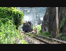 秩父鉄道を走る国鉄C58形蒸気機関車を撮影してみた